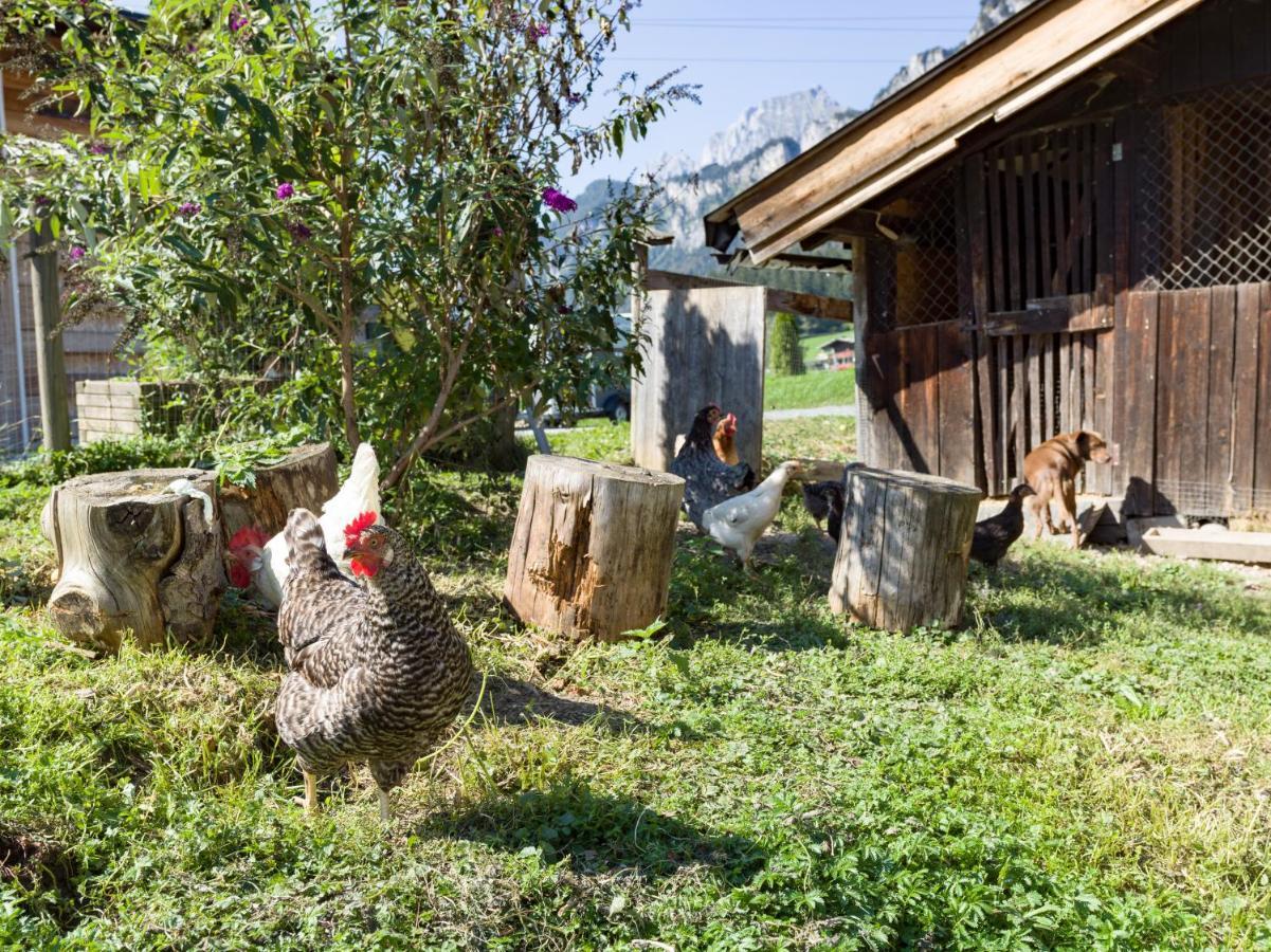 Narzenhof Wellness Chalets, Familien&Luxus Apartments am Bauernhof St. Johann in Tirol Exterior foto