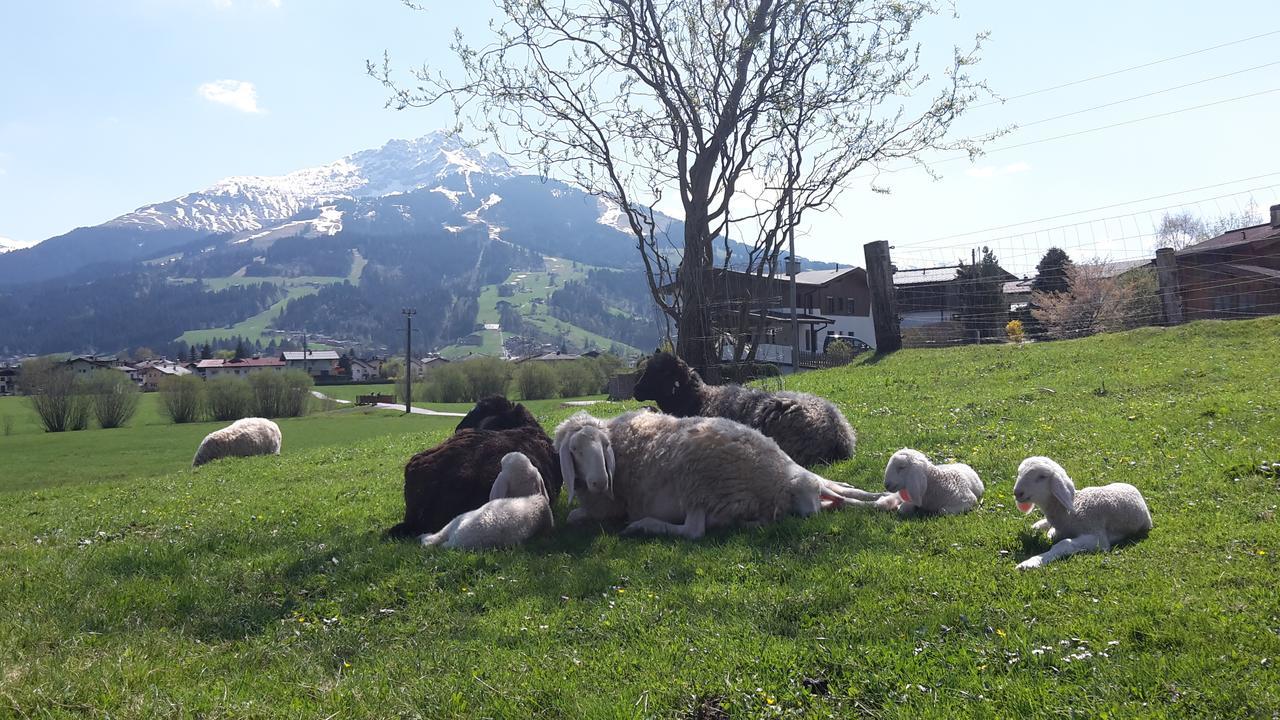 Narzenhof Wellness Chalets, Familien&Luxus Apartments am Bauernhof St. Johann in Tirol Exterior foto