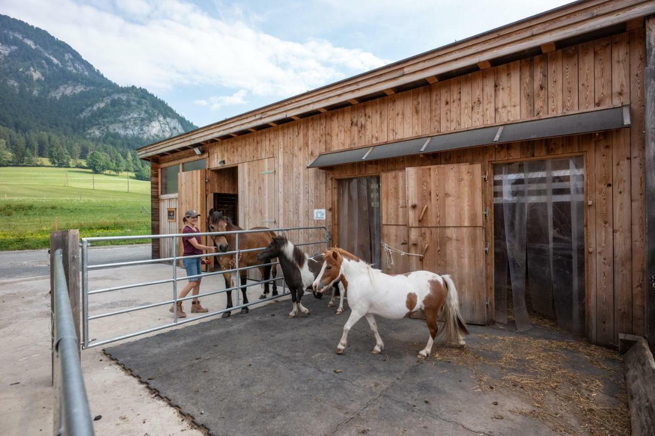 Narzenhof Wellness Chalets, Familien&Luxus Apartments am Bauernhof St. Johann in Tirol Exterior foto